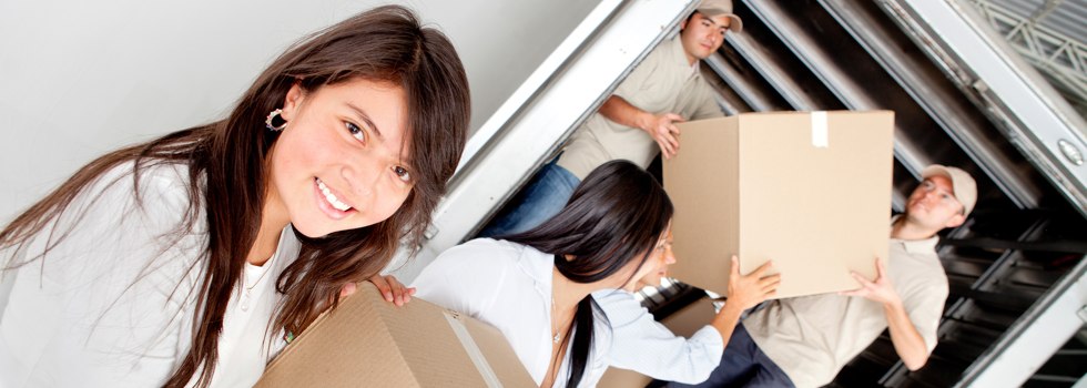 Professional Removalists Bardwell Park